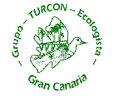 LogoTurcon.gif (4994 bytes)