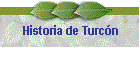 Historia de Turcn