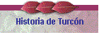 Historia de Turcn