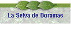 La Selva de Doramas