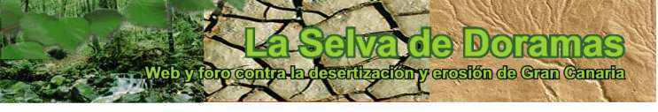 Web y foro contra la desertizaci�n, el cambio clim�tico y erosi�n en las Islas Canarias