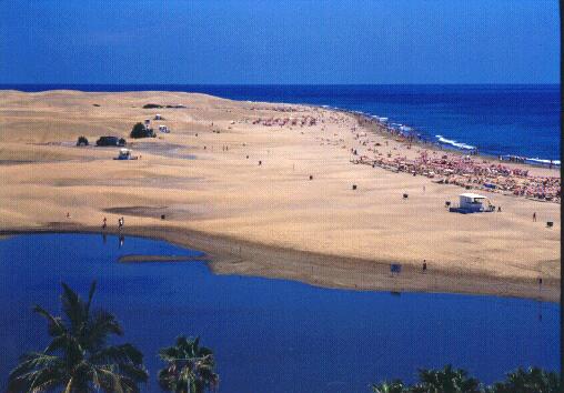 Maspalomas.jpg (33819 bytes)